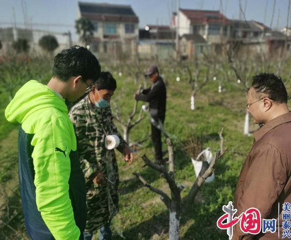 泰兴：“四分”研究助力农机化高质量发展