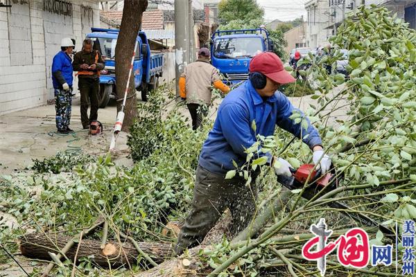 苏州黄埭青龙社区：修树剪枝解民忧 心系百姓办实事