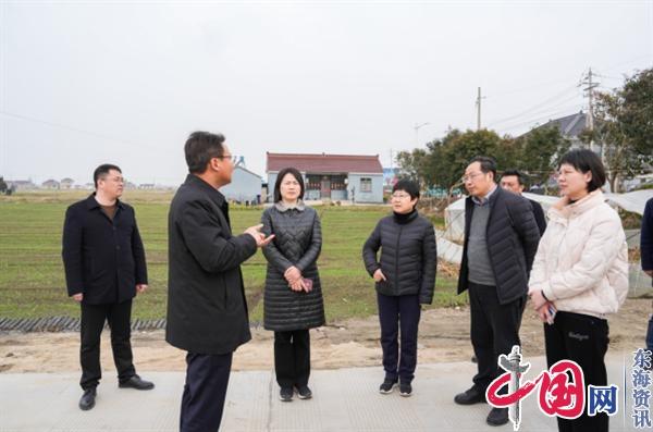 江苏省专项工作组到兴化大营镇开展现场评估