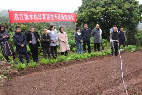 合江县荔江镇：举办水稻旱育秧技术现场培训