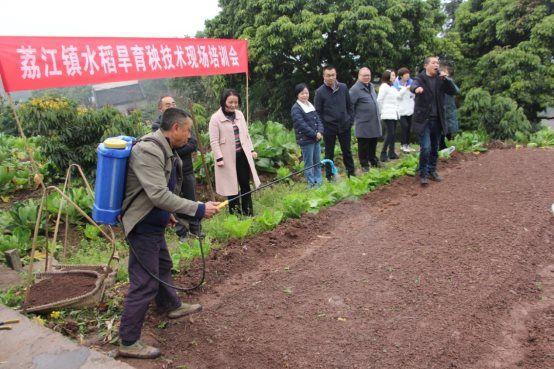 合江县荔江镇：举办水稻旱育秧技术现场培训