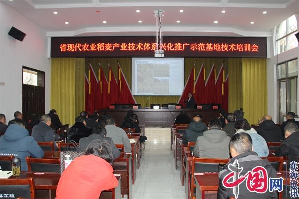 江苏省现代农业稻麦产业技术体系兴化推广示范基地培训在兴东镇举办