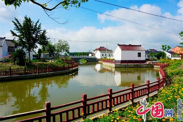 兴化市沈伦镇开展春季“河道保卫战”打造和谐水环境