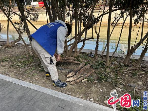 苏州工业园区金鸡湖街道：为家门口的河道作“体检”