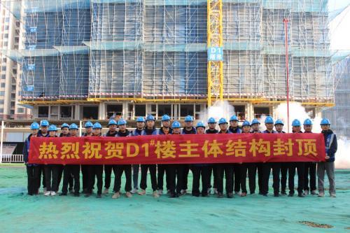 中铁上海局肥西花岗项目首栋单体主楼封顶