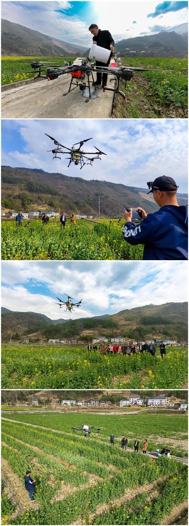 重庆南川：植保无人机助农保丰收