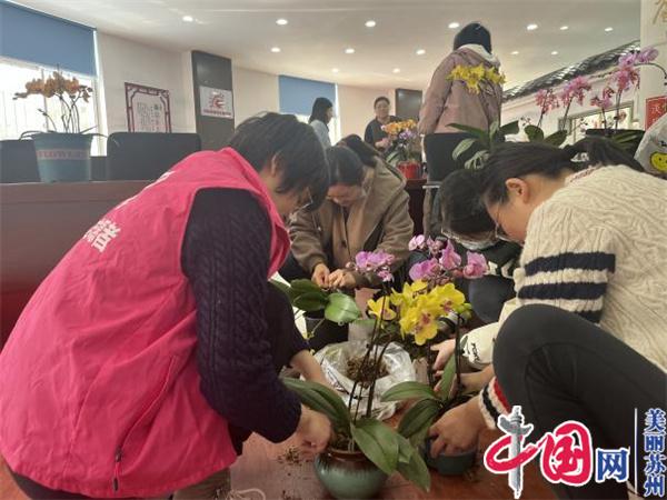 苏州相城经开区泰元社区开展“关爱女职工 鲜花赠巾帼”妇女节花卉栽种活动