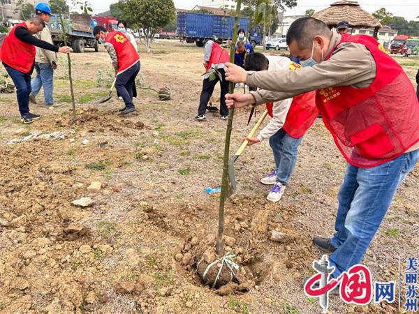 苏州方浜村：党员志愿红 携手植新绿
