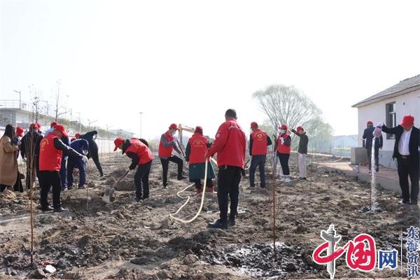 兴化市周庄镇：“党建红”引领“生态绿” 携手共植“同心树”