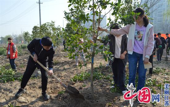 泰兴市虹桥镇：见缝插绿 再掀植树造林新热潮