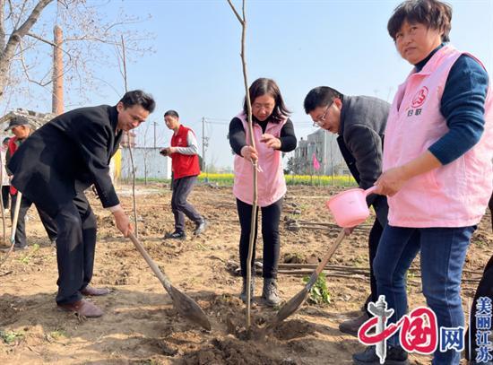 泰兴市虹桥镇：见缝插绿 再掀植树造林新热潮