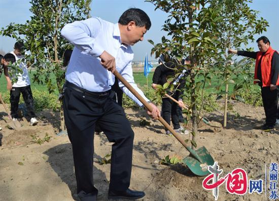 泰兴市虹桥镇：见缝插绿 再掀植树造林新热潮