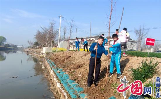 泰兴市虹桥镇：见缝插绿 再掀植树造林新热潮