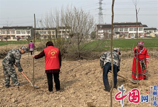 泰兴市虹桥镇：见缝插绿 再掀植树造林新热潮