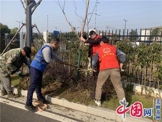 苏州相经开北桥凤湖花园社区开展植树添新绿活动