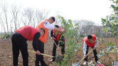 苏州相经开北桥芮埭村开展“种下一棵树，收获一片绿”主题植树节活动