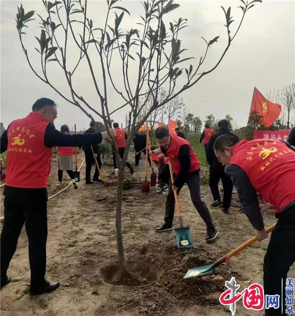 江苏如皋石庄：同植幸福树 共建绿美家