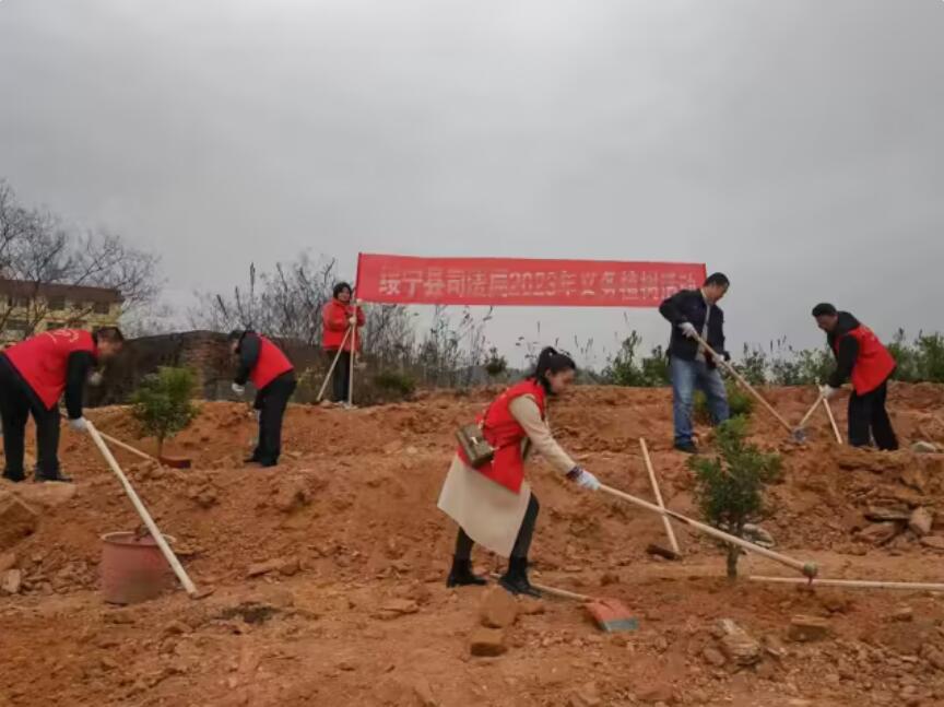 绥宁县司法局：一边植树一边普法 打造校园绿色净土