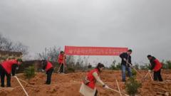 绥宁县司法局：一边植树一边普法 打造校园绿色净土