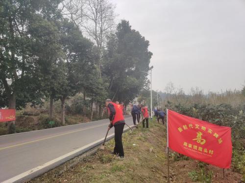中国二冶梓州大道南延线项目部开展“除杂草、植新绿”主题活动