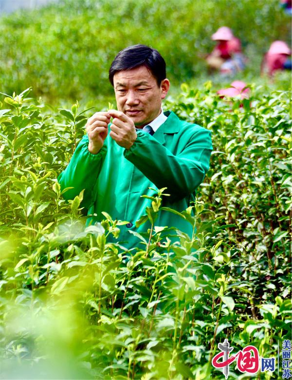 买田茶业阳羡老 兰山深情柯荣伟一一记宜兴兰山茶场负责人柯荣伟