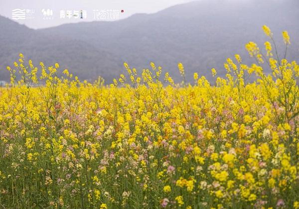 宁波象山启动“如约花朝”季邀游客微度假