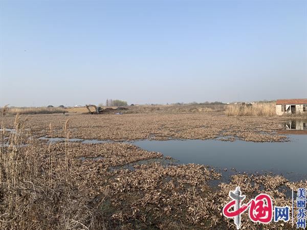 苏州相经开北桥新北村：水葫芦清理“利剑”行动 全力守护河道水生态