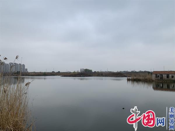 苏州相经开北桥新北村：水葫芦清理“利剑”行动 全力守护河道水生态