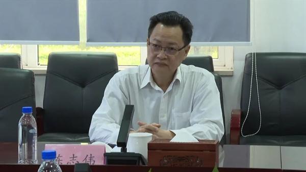 东莞市委常委、统战部部长陈志伟到沙田镇督导安全生产工作