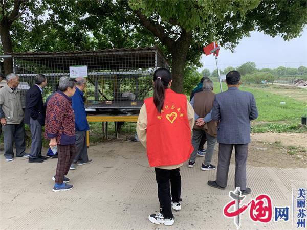 走进农场 亲近自然——苏州相经开北桥灵峰村开展老年人踏青活动