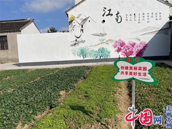 苏州太平街道：一方庭院 半亩菜园 乡村开启“美颜模式”
