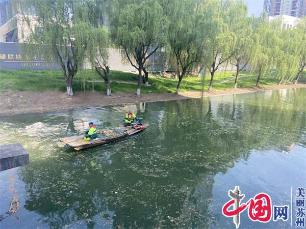 苏州工业园区金鸡湖街道开展守护“一江春水向东流”
