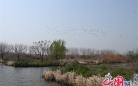 兴化里下河国家湿地公园入选江苏省生态文明教育实践基地