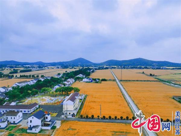 宜兴芳桥：美丽宜居加速升级 改善农村人居环境久久为功