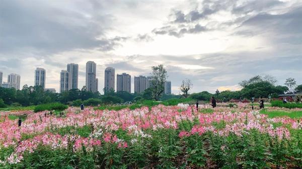 全省首批！东莞东城香遇百花园入选！