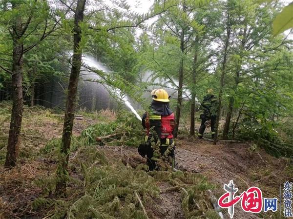 兴化市戴窑镇组织开展2023年森林防火实战演练活动