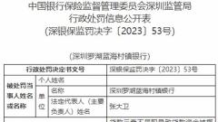 深圳罗湖蓝海村镇银行违规被罚 最大股东为青农商行