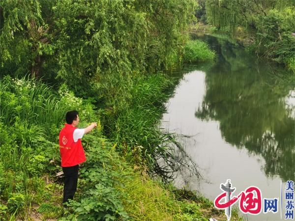 苏州花倪村党建赋能 打好河道治理“主动仗”