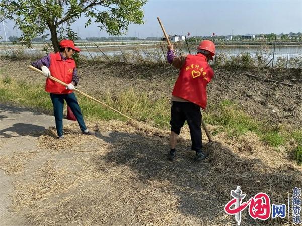 夯实双禁工作 守护蓝天净土——兴化市昌荣镇开展清田活动