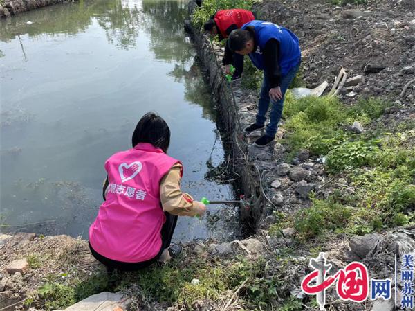 苏州聚金村党建赋能绘就碧水蓝天新画卷