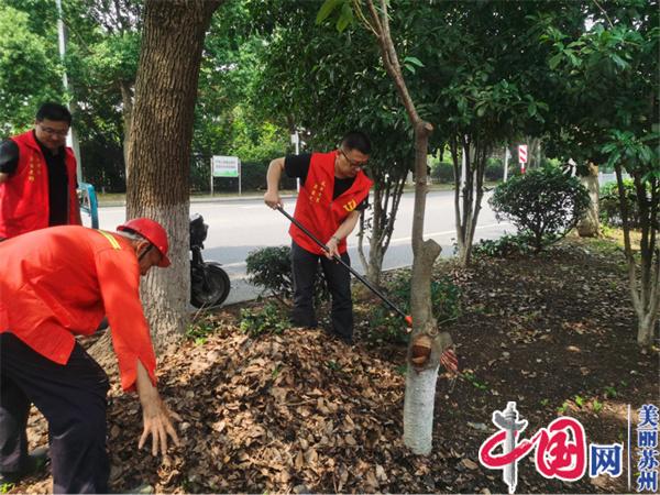 争做文明表率 勇当“敢为”先锋——苏州国投公司党支部举行“修剪绿化 美化环境”主题活动