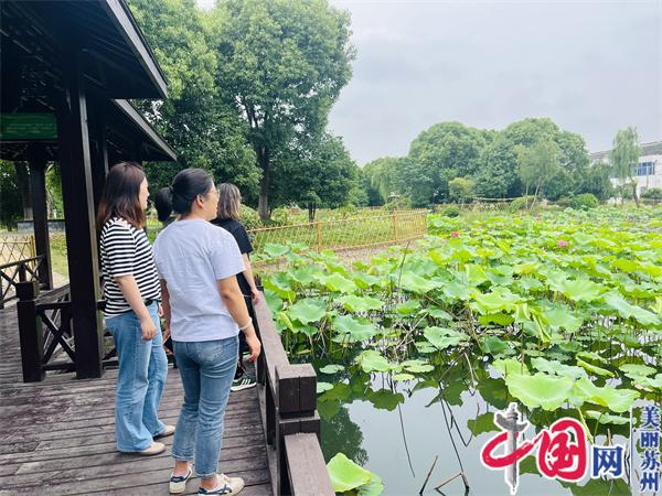 苏州相经开北桥新北村：一路“廉”花开 徐徐清风来