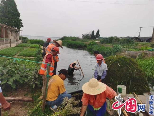 苏州莲港村全面整治沉船 为河道“清肠”