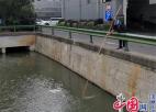 南通厂南社区：巡河护河 保持水清岸绿