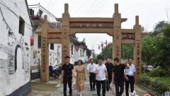 兴化市戴南镇对裴马村“国家级老年友好型社区”创建工作开展现场复核
