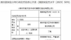 潍坊市奎文区中成村镇银行被罚 大股东为成都农商行