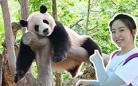 我们来四川看“国宝”啦！听听大熊猫国际交流合作的新变化