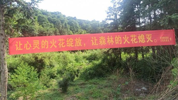 湖南嘉禾：迅速行动 确保国家森林公园安全
