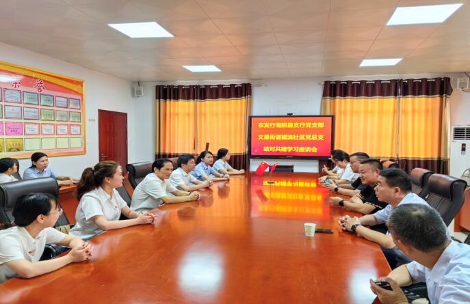 农发行湘阴县支行党支部与望滨社区党总支开展结对共建党日活动
