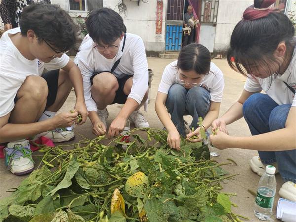 正德职业技术学院：青年大学生走进田间地头助农 挥洒青春汗水